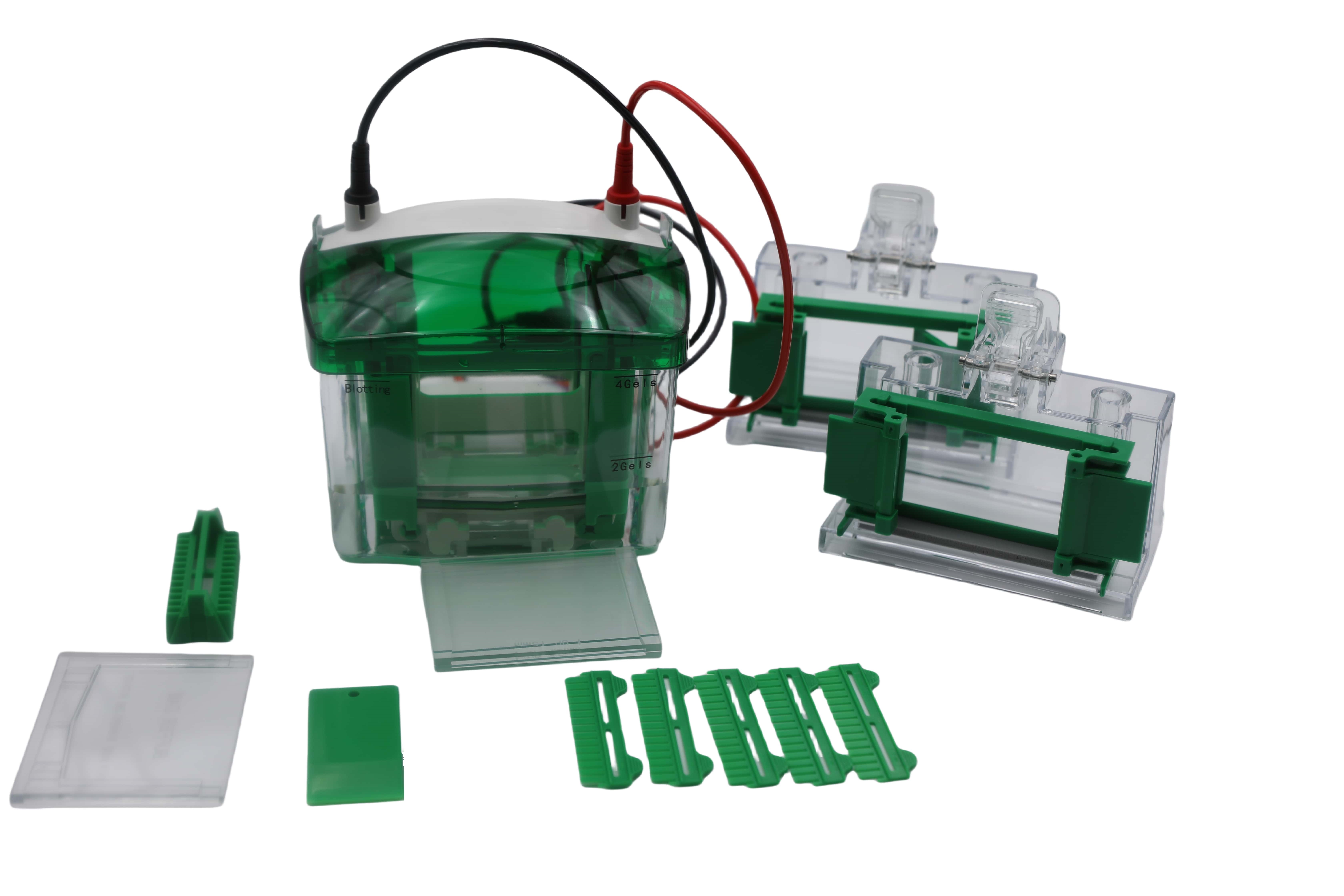 MINI2垂直電泳槽EPT-VT02